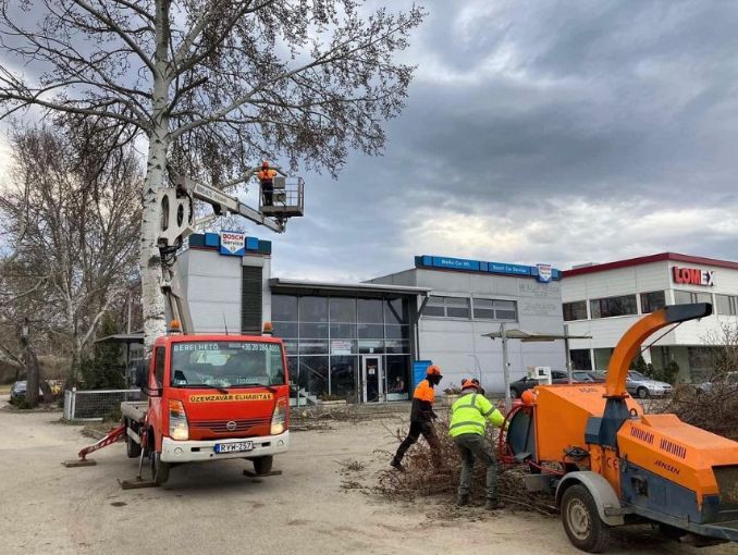 veszélyes fa kivágása Erdőkertes, veszelyes fa kivagasa veresgyhaz