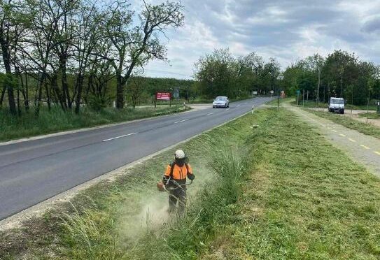 fűkaszálás Erdőkertes, fukaszalas erdokertes